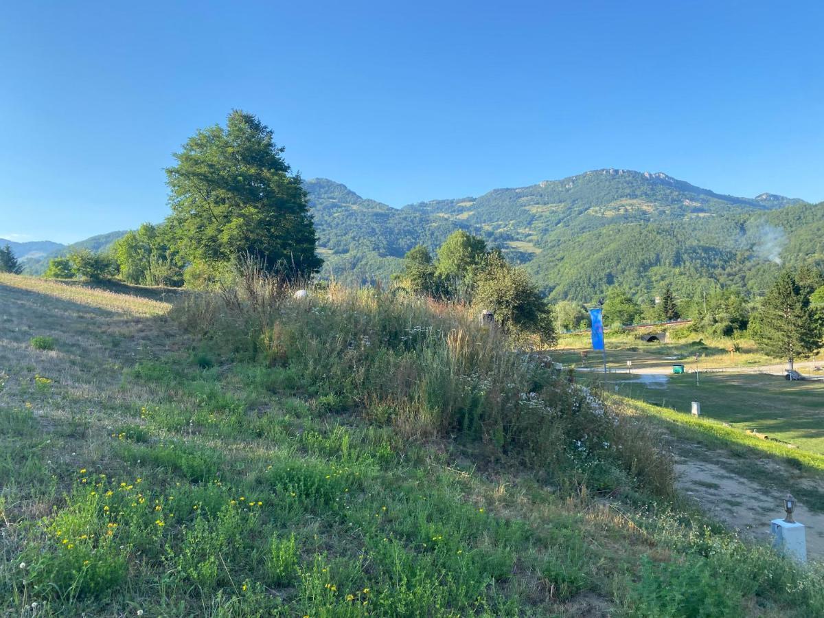 Tara Place - Camp Rabrenovic Mojkovac Eksteriør bilde