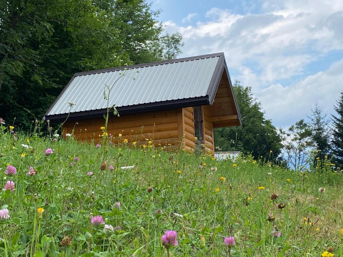 Tara Place - Camp Rabrenovic Mojkovac Eksteriør bilde