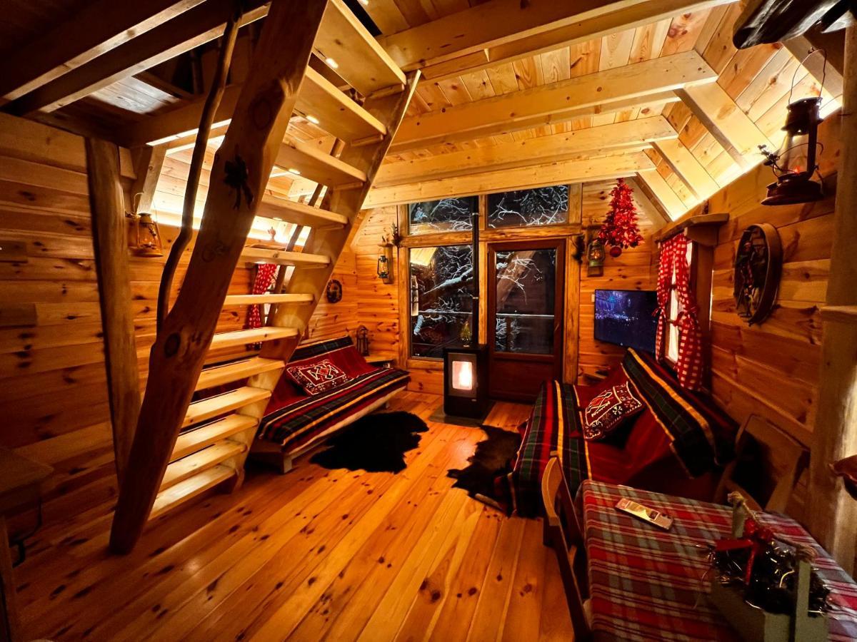Tara Place - Camp Rabrenovic Mojkovac Eksteriør bilde