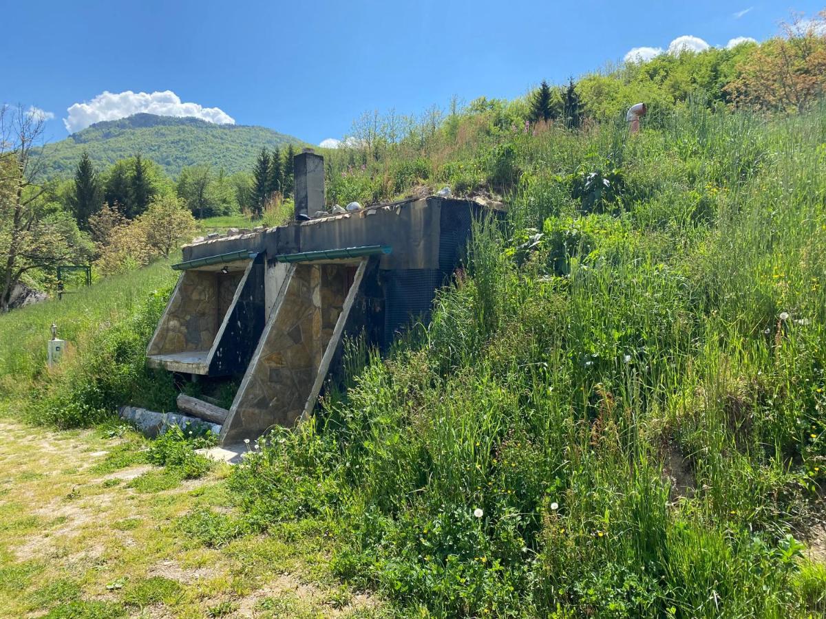 Tara Place - Camp Rabrenovic Mojkovac Eksteriør bilde